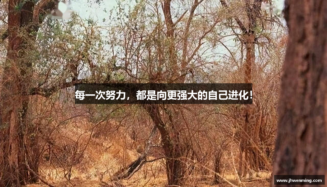  千亿·国际官方网站